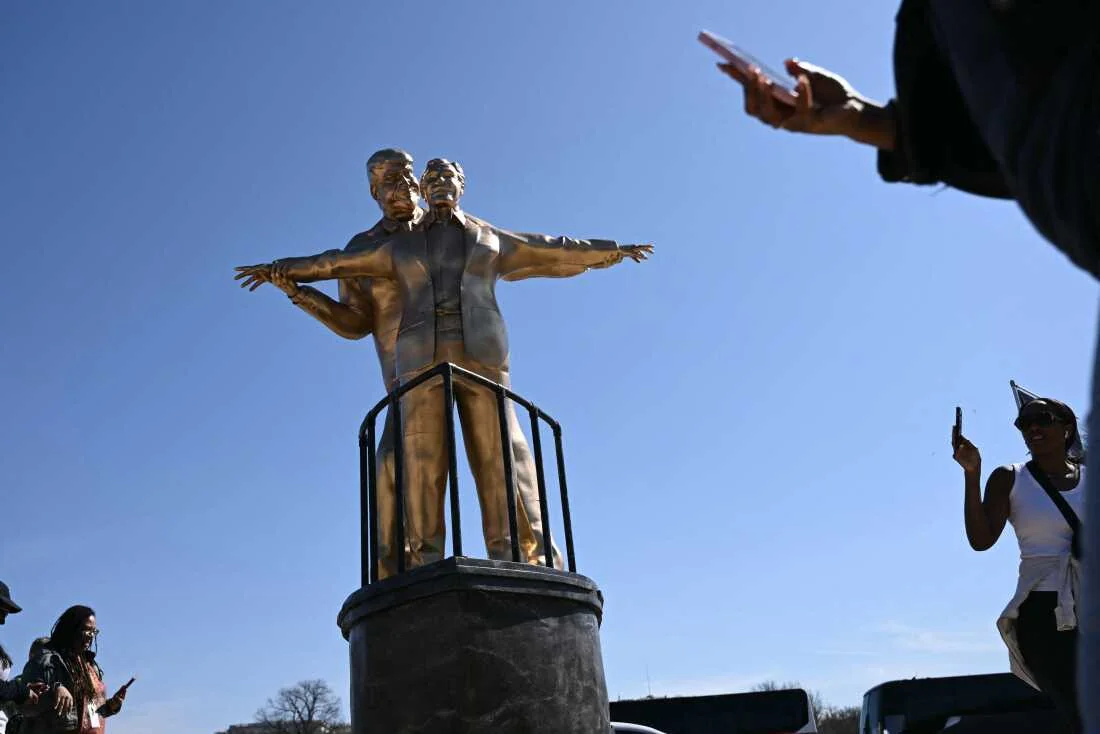 "Trump Faces Mocking Artwork on National Mall"