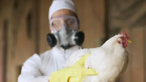 USDA rehires fired bird flu officials.